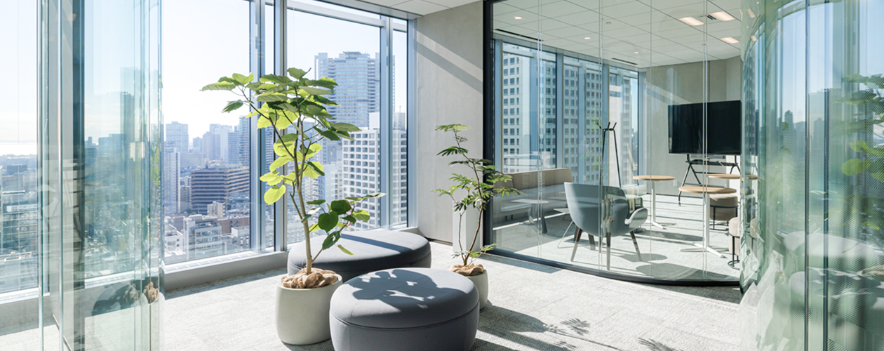 Glazed meeting rooms
